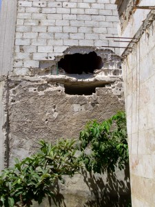 the radishes are at ground level